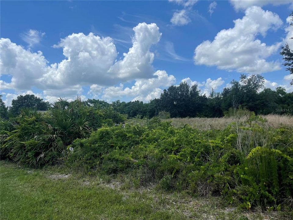 Recently Sold: $17,500 (0.24 acres)