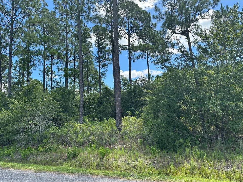 Recently Sold: $40,000 (1.03 acres)