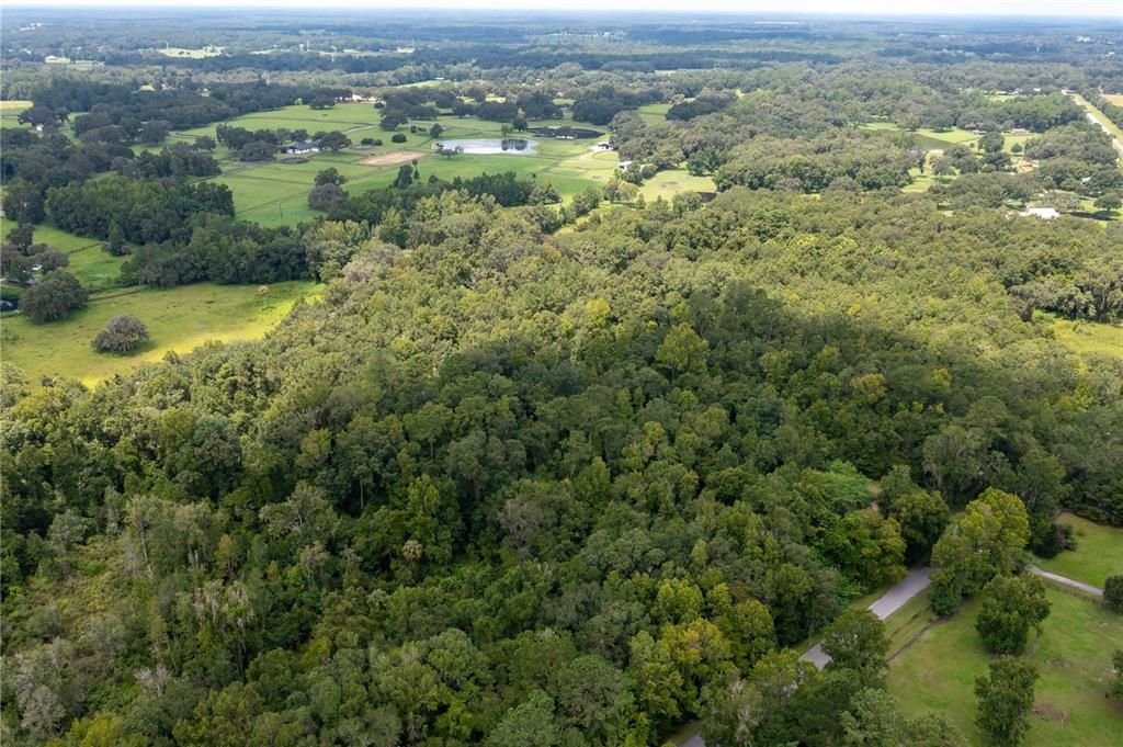 На продажу: $200,000 (10.00 acres)