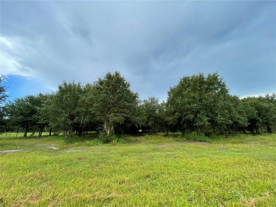 For Sale: $269,999 (6.15 acres)