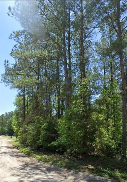 For Sale: $8,900 (0.26 acres)
