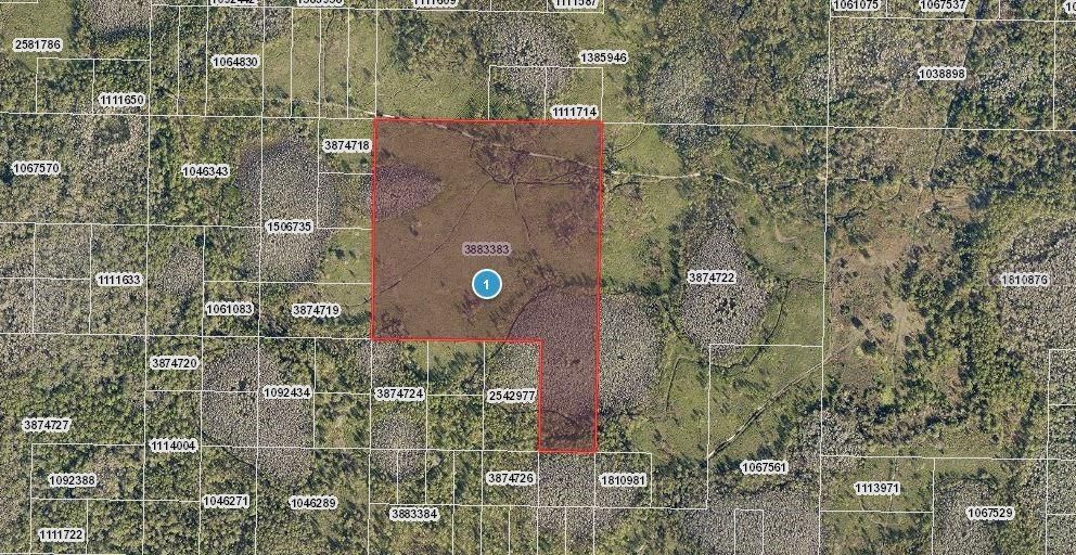 For Sale: $300,000 (45.00 acres)