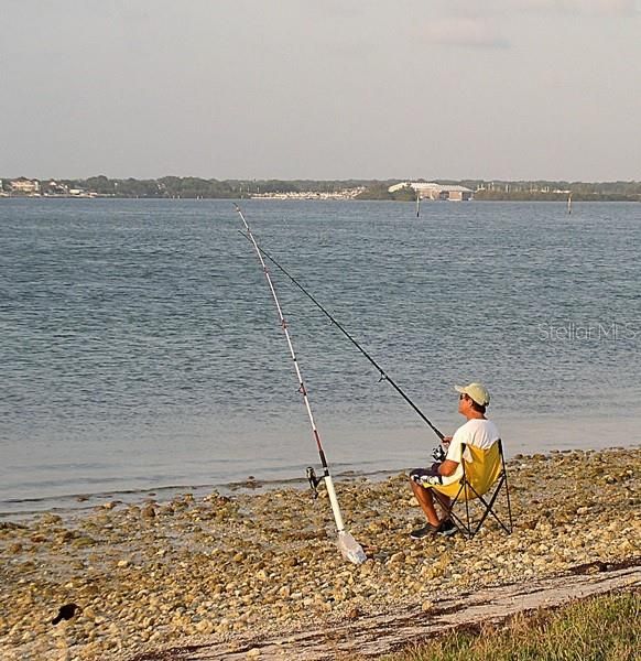 View From Causeway