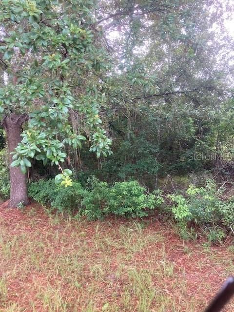 Recently Sold: $19,999 (0.29 acres)