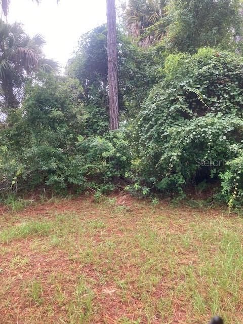 Recently Sold: $19,999 (0.27 acres)