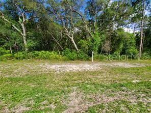 Recently Sold: $10,000 (1.16 acres)