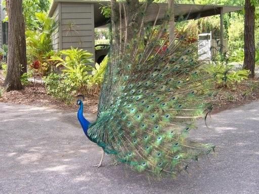 出租: $2,400 (2 贝兹, 2 浴室, 1211 平方英尺)