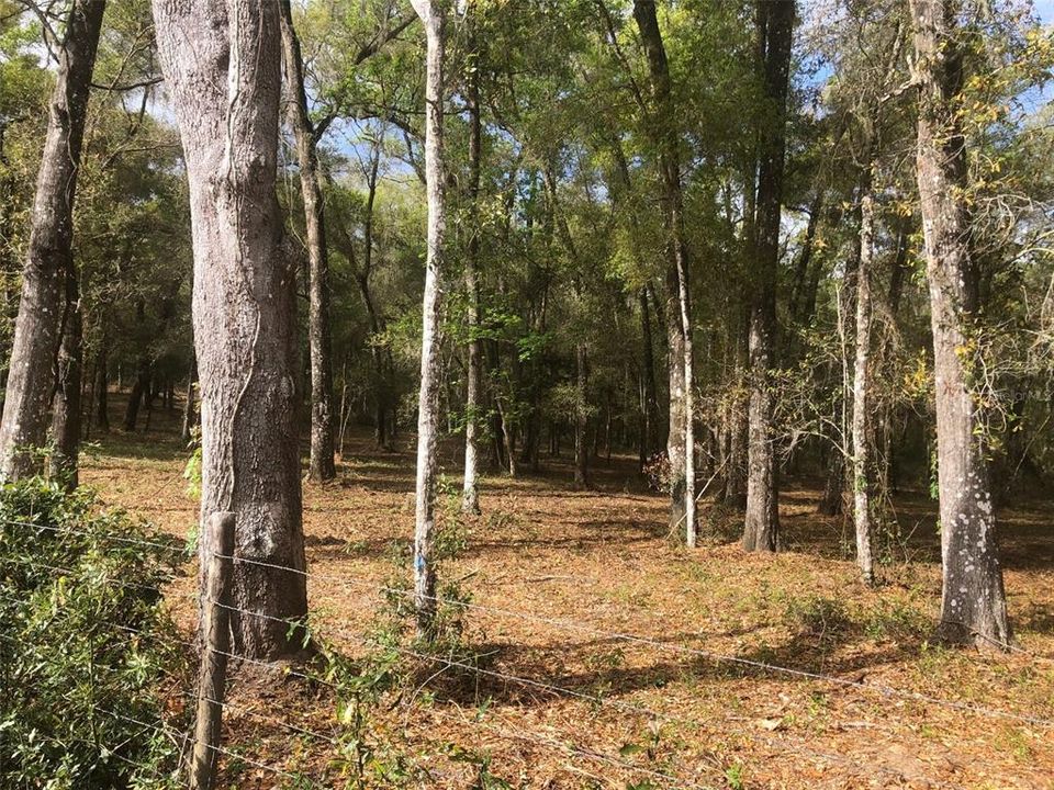 Recently Sold: $240,000 (10.00 acres)