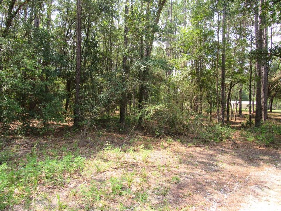 1.33 Acre Acres--New Construction or Mobile/Manufacture/Modular Homes. Create Your Own Amazing Setting on This Property!