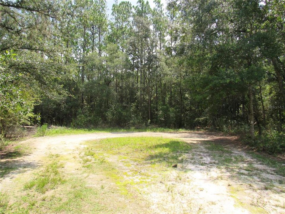 Ocala Highlands West Subdivision Is Off Main Road 464 B--This Beautiful 1.33 Acre Property is located Off Lime-Stone/Dirt Road. Private Peaceful and Tranquil With an Abundant of Florida Wildlife.