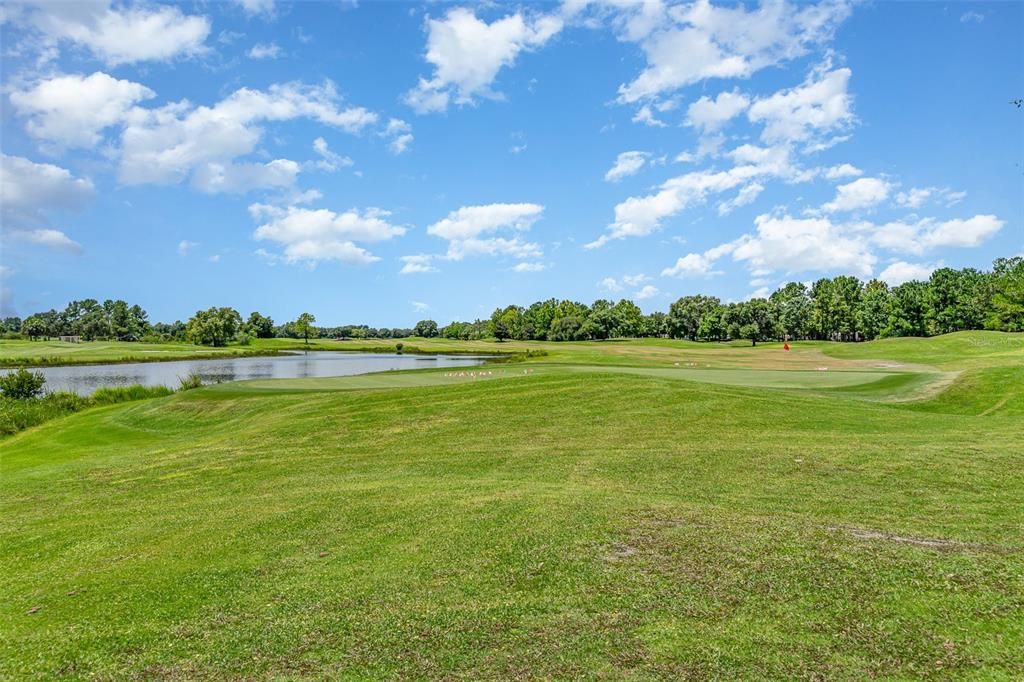 Golf Course View