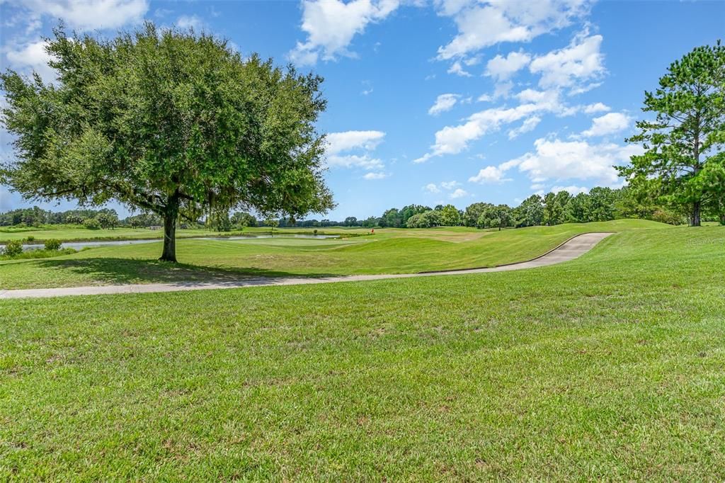 Golf Course View