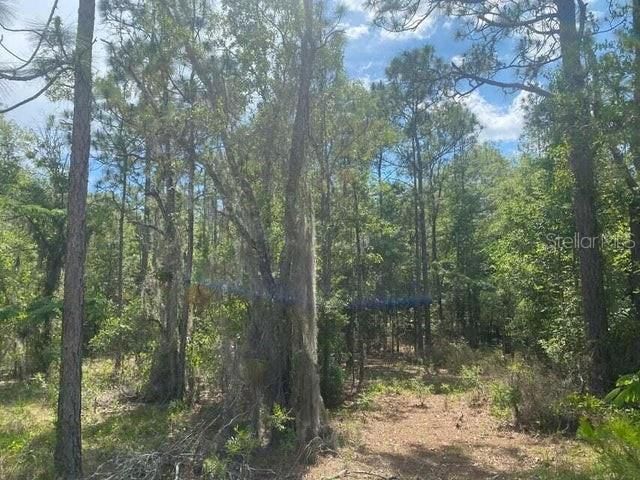 Recently Sold: $8,300 (0.46 acres)