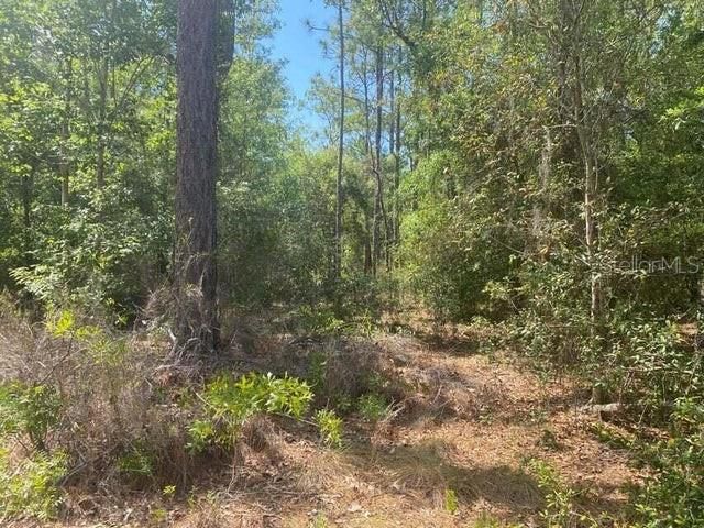 Recently Sold: $8,300 (0.46 acres)