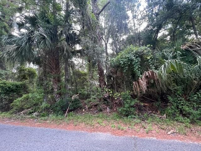 Recently Sold: $21,900 (0.47 acres)