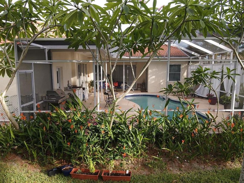 View into the pool