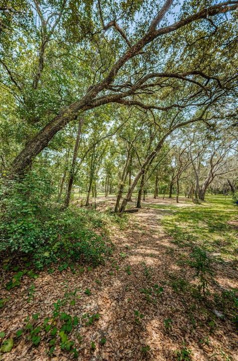 For Sale: $450,000 (4.95 acres)