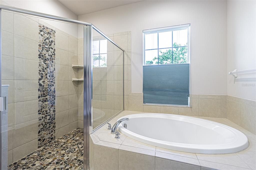 Separate tub and glass shower with decorative tile
