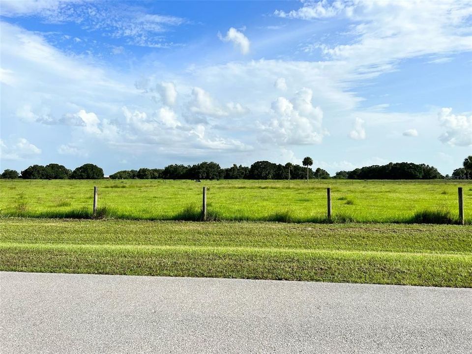 View across Street North looking South