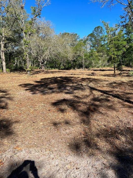 Recently Sold: $40,000 (1.16 acres)