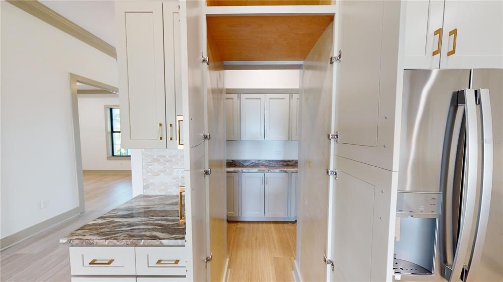 Concealed pantry