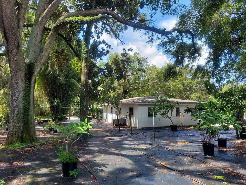 View of older single-family residence that is utilized as nursery office. Building NEEDS repairs if kept.