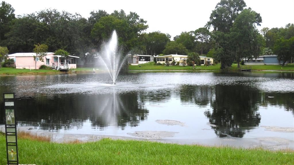 fountain view