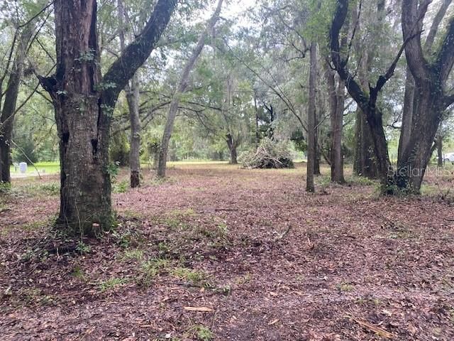 Active With Contract: $38,000 (1.06 acres)