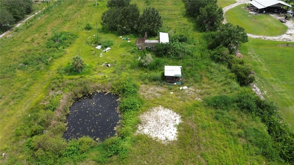 Pond, damaged barn & chicken coop.
