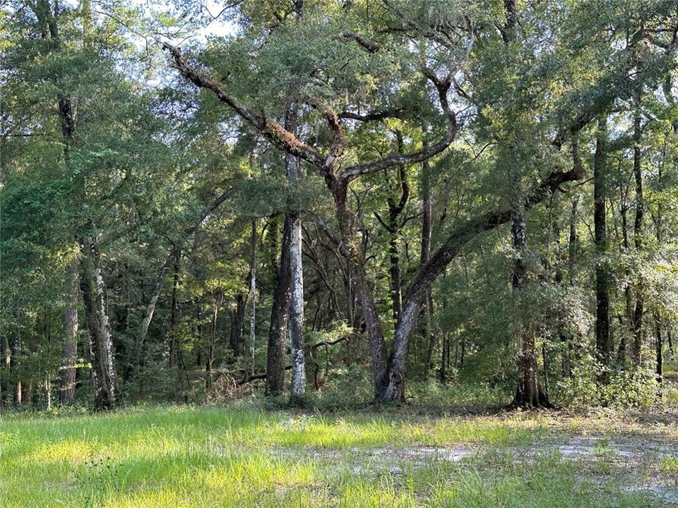 Recently Sold: $265,000 (13.79 acres)