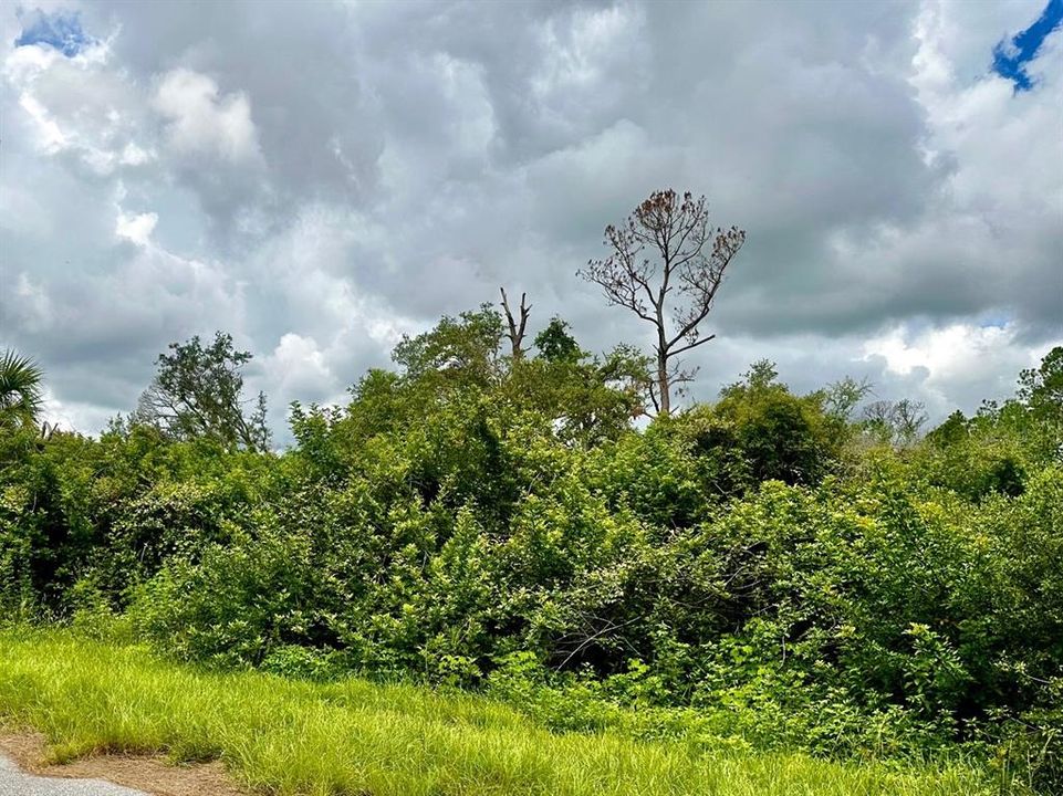 待售: $18,000 (0.27 acres)