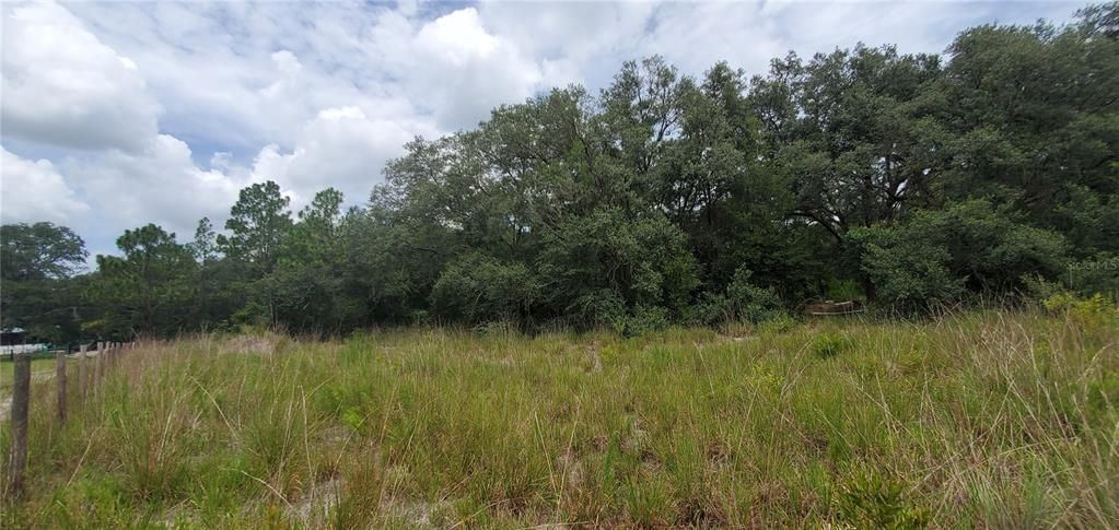 Recently Sold: $25,500 (1.25 acres)