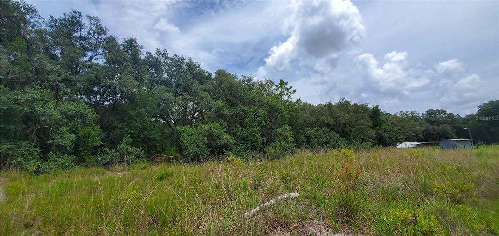 Recently Sold: $25,500 (1.25 acres)