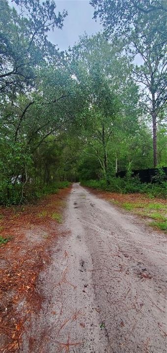 Recently Sold: $25,500 (1.25 acres)