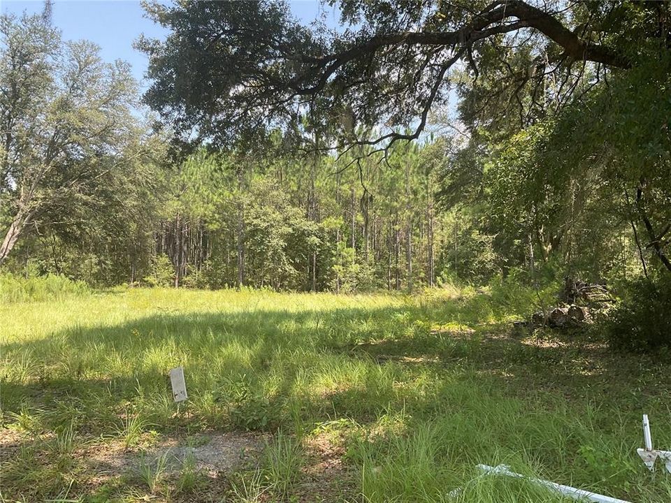 Recently Sold: $45,000 (1.00 acres)