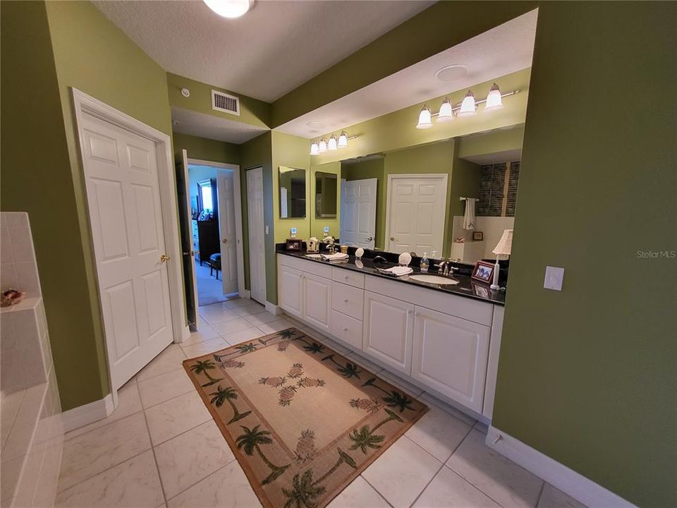 Master Bathroom - dual sinks