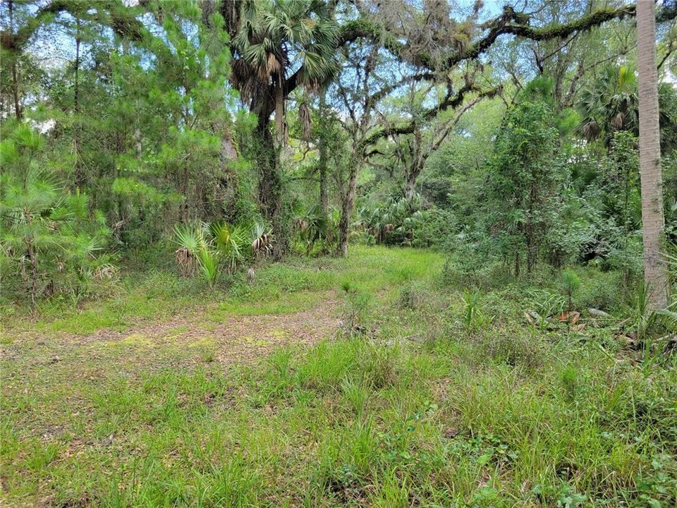 Vendido Recientemente: $20,000 (1.31 acres)