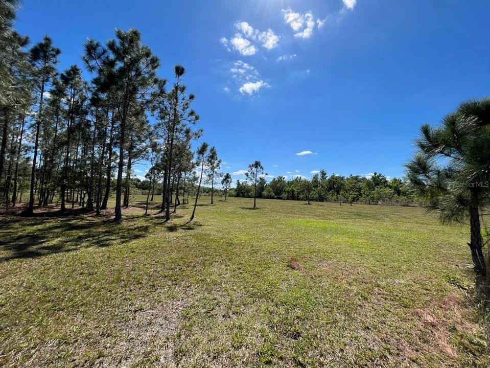 Recently Sold: $189,900 (5.00 acres)