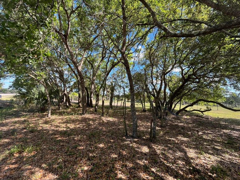 Recently Sold: $189,900 (5.00 acres)