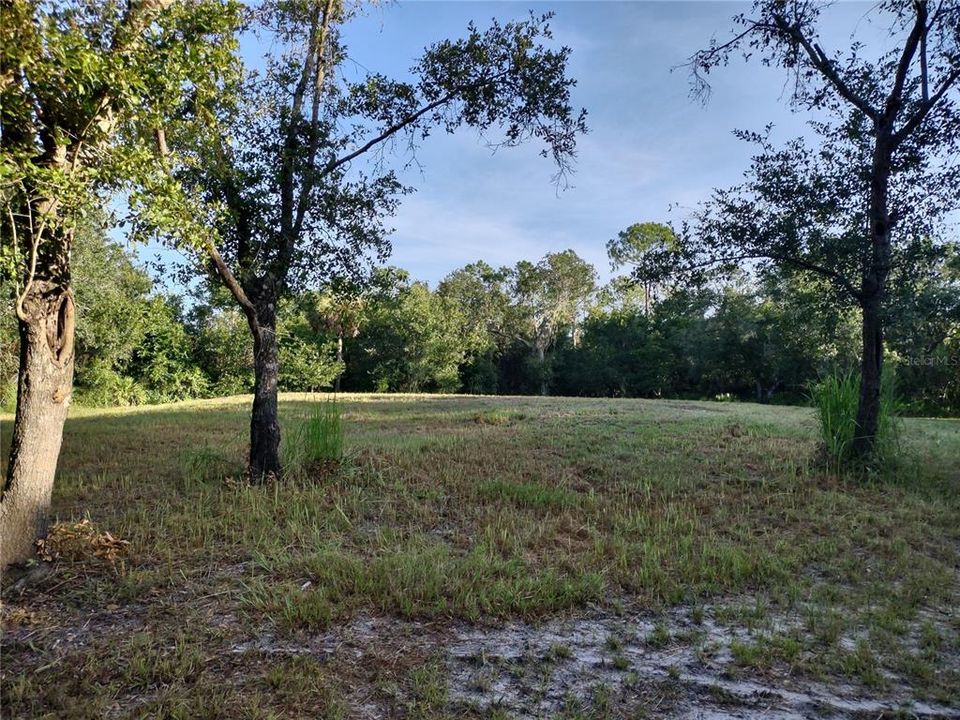For Sale: $330,000 (10.19 acres)