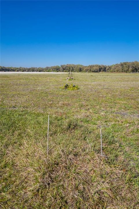 For Sale: $595,000 (32.31 acres)