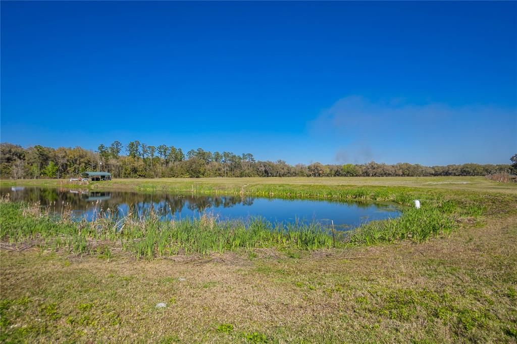 For Sale: $595,000 (32.31 acres)