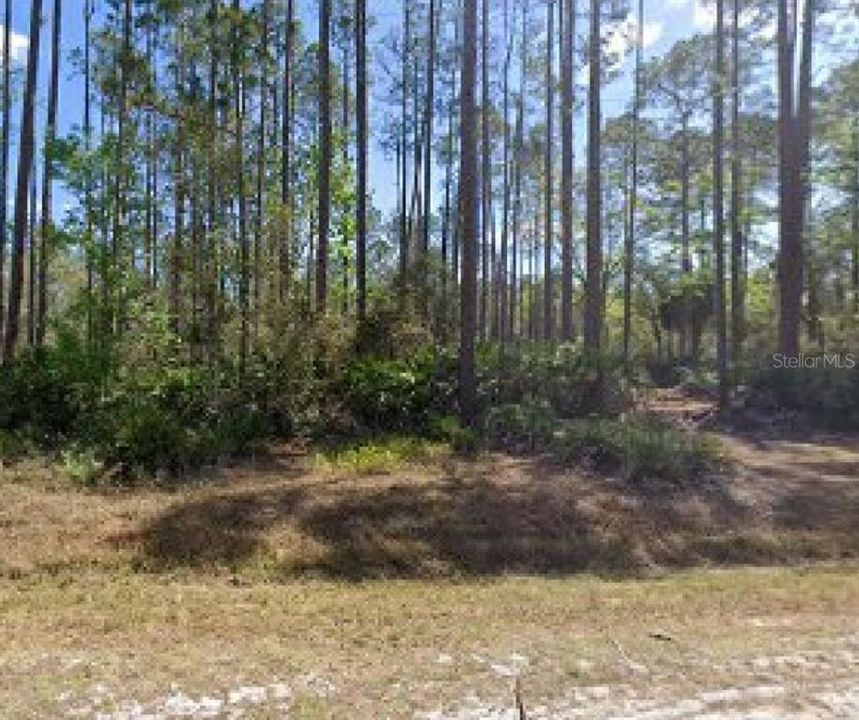 Recently Sold: $9,950 (0.34 acres)
