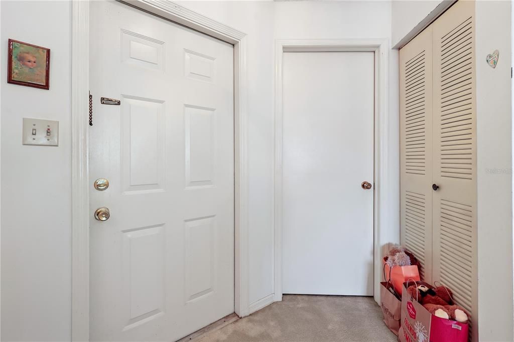 Entry and guest bedroom door