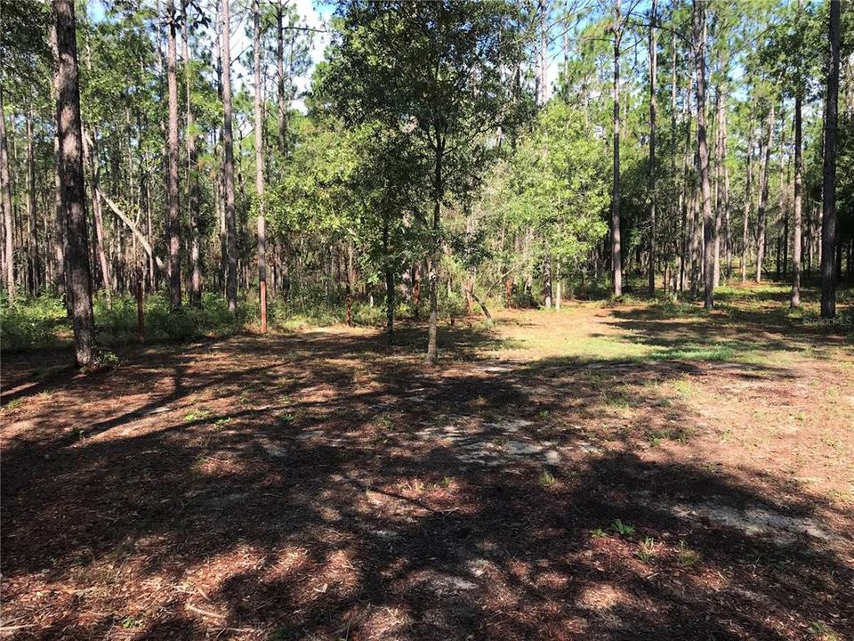 Recently Sold: $98,000 (5.40 acres)