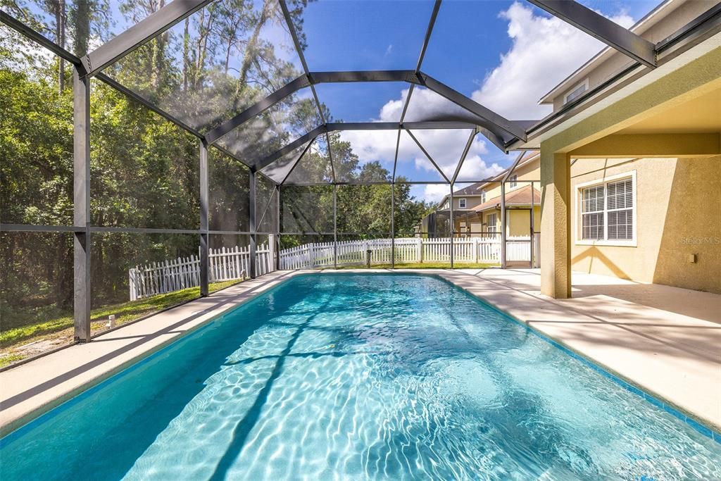 PRIVATE POOL, EXTENDED LANAI, PATIO and FENCED DOG-RUN with WOODED CONSERVATION VIEW