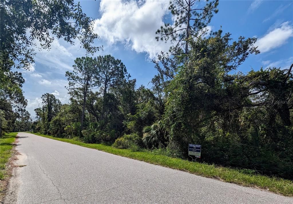 This is lot 5. Lots 6,7 & 8 are also For Sale, offered at 30K each.