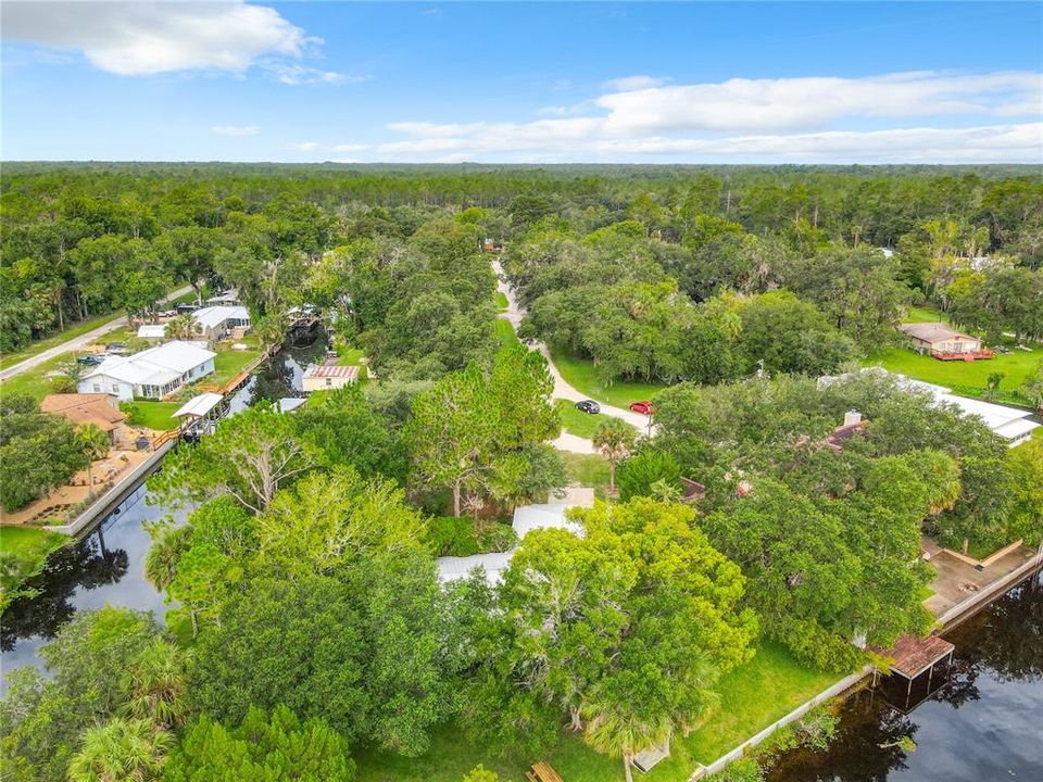 Property has lots of natural Florida trees