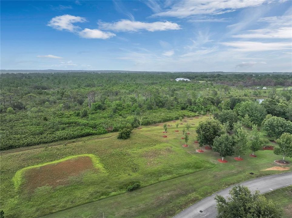 Недавно продано: $120,000 (4.85 acres)