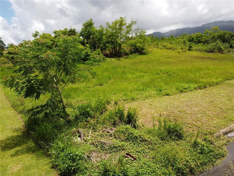 For Sale: $75,000 (0.01 acres)